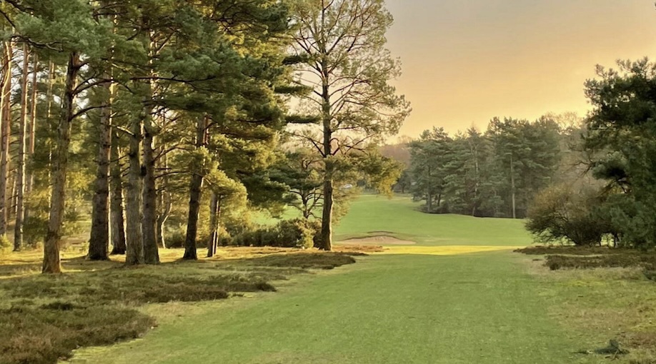 Photo of Thetford Golf Club